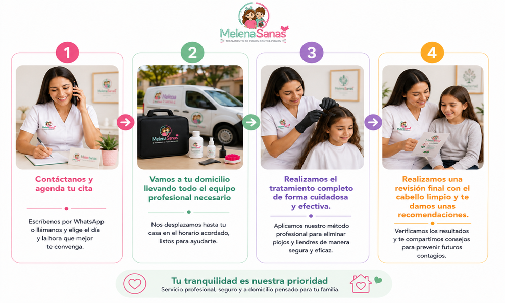 Proceso del tratamiento contra piojos a domicilio